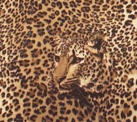 Lee Sands Leopard Print Tote Bag