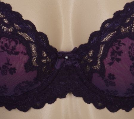 Barely Breezies Twilight Lace Bra