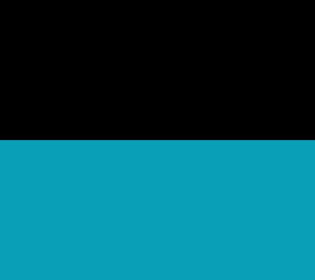 Black/Turquoise