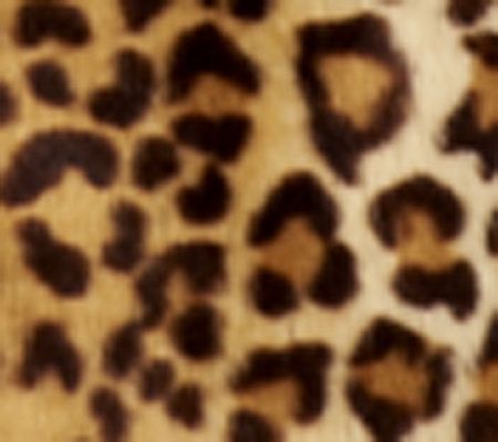 Tan Leopard