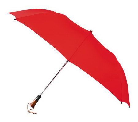 Leighton Magnum Family Size Auto Open & Close Umbrella - A181963