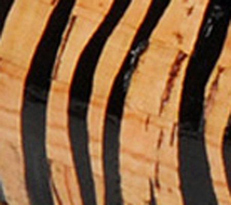 Zebra Cork