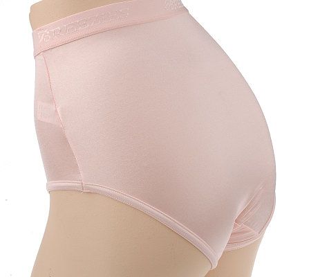 Breezies Set of 4 Nylon Lycra Brief Panties with UltimAir
