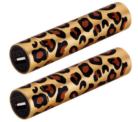 HALO 2800mAh Pocket Power Charger for Cellphones & Electronics - E223301