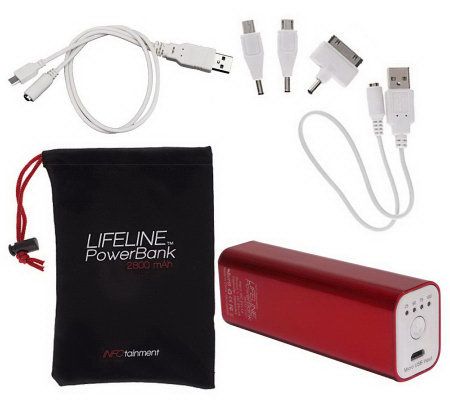 INFOtainment LIFELINE 2800 mAh Portable USB Power Charger - E224053