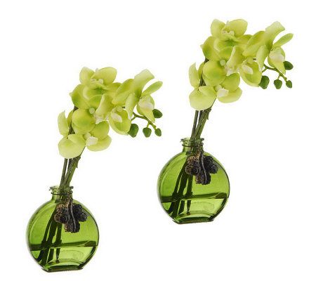 Set of 2 Water Illusion 10 Orchid by Valerie - H199021