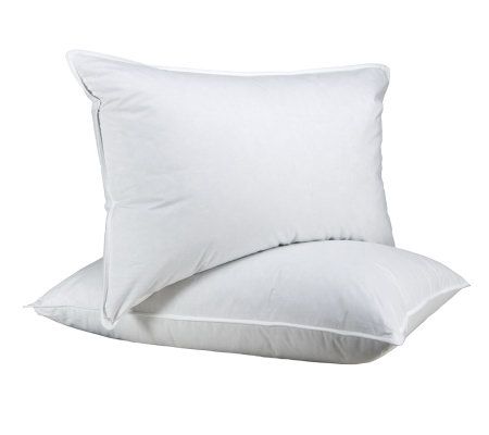 Northern Nights Set Of 2 Standard Down Around Pillows On Popscreen