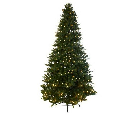 Mr. Christmas Wisconsin Fir 9 Pre-Lit LED Tree with 5 Year LMW - H196661