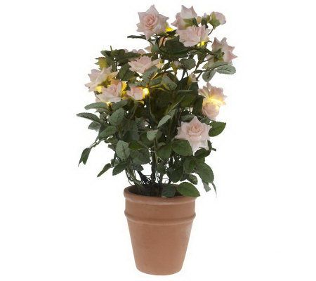 Bethlehem Lights Battery Op. 16 Rose Bush w/ 10 LED & Timer - H166375