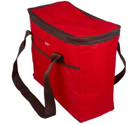 Rachael Ray Set of 2 ChillOut 2 Go Totes