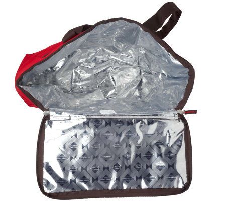 Rachael Ray Set of 2 ChillOut 2 Go Totes