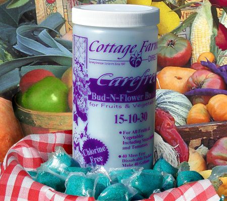 Cottage Farms Bud N Flower Booster for Fruits & Vegetables - M17424