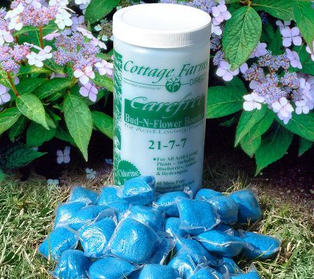 Cottage Farms Bud N Flower Booster for Acid Loving Plants - M10831