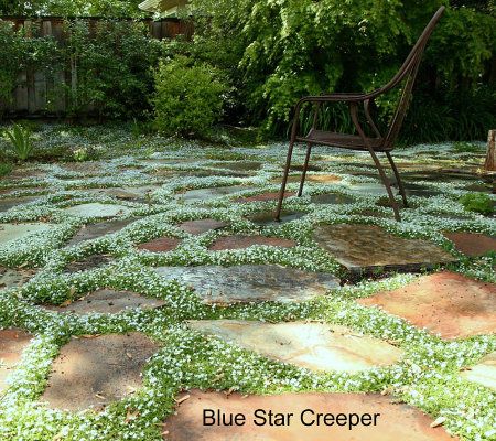 Robertas 4-pc. Step on Me Creepers & Crawlers - M25939