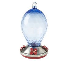 Hummingbird Feeders