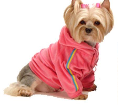 Maxs Closet Velour Hoodie - Bright - M103784