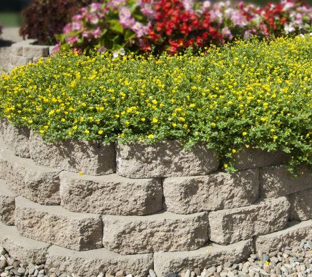 Cottage Farms 6-piece Sun-Kissed Magic Carpet Collection - M41287