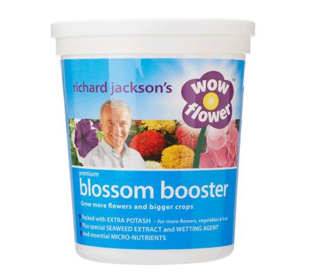 Richard Jacksons Blossom Booster Plant Food Concentrate - M25996