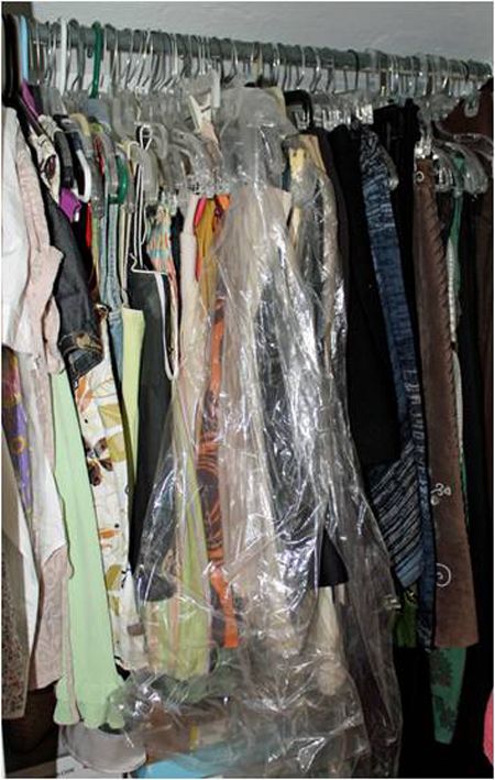 Purge your wardrobe! Purge your wardrobe!