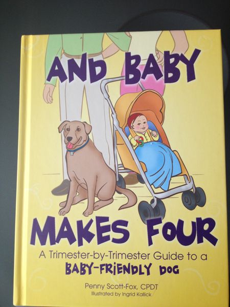 my latest read