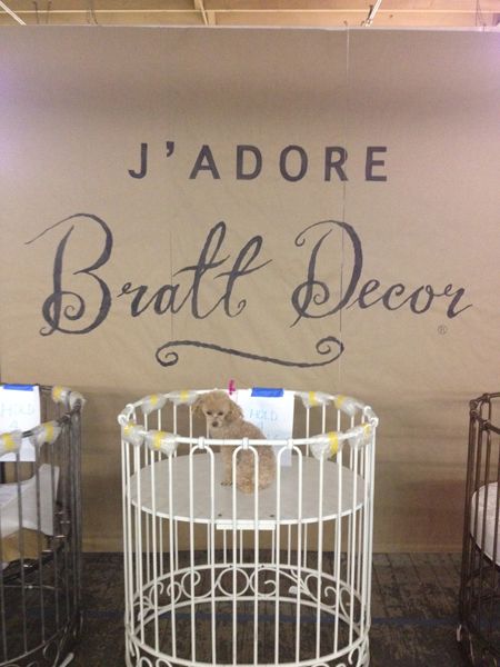 my new favorite store!