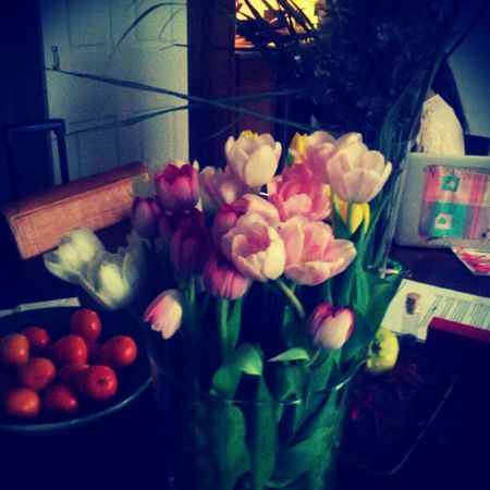 Good-luck tulips! Love! Good-luck tulips! Love!