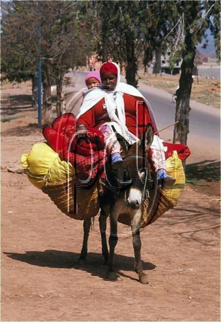 Donkey Baskets Donkey Baskets