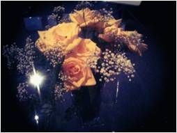 The flowers in my studio The flowers in my studio